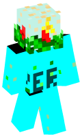 Skinfile