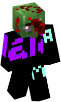 Skinfile