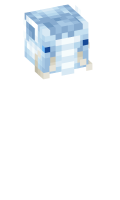 Skinfile