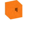 Skinfile