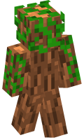 Skinfile