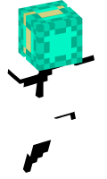 Skinfile
