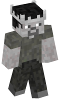 Skinfile