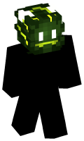 Skinfile