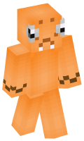 Skinfile