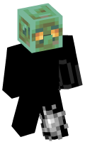 Skinfile