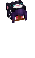 Skinfile