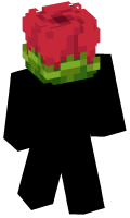 Skinfile