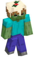 Skinfile