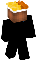 Skinfile