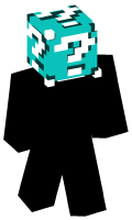 Skinfile