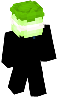 Skinfile