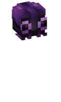 Skinfile