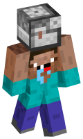 Skinfile