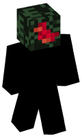 Skinfile