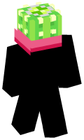 Skinfile