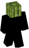 Skinfile