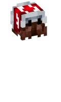 Skinfile