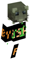 Skinfile