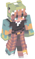 Skinfile