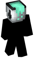 Skinfile
