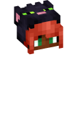 Skinfile