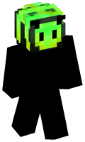 Skinfile