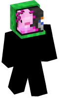 Skinfile
