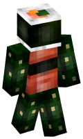 Skinfile
