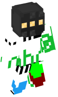Skinfile