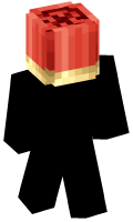 Skinfile