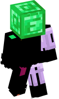 Skinfile