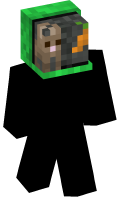 Skinfile