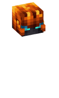 Skinfile