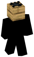 Skinfile