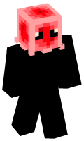 Skinfile
