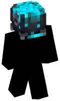 Skinfile