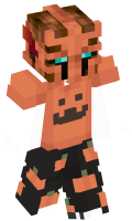 Skinfile