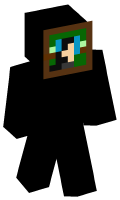 Skinfile
