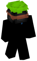 Skinfile