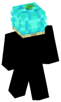 Skinfile