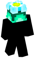 Skinfile