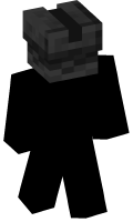 Skinfile