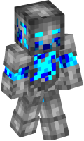 Skinfile