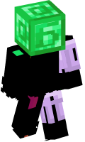 Skinfile