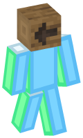 Skinfile
