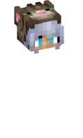 Skinfile