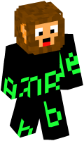 Skinfile