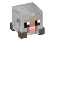 Skinfile