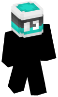 Skinfile